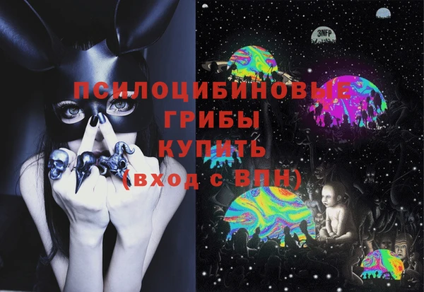 бошки Алексин