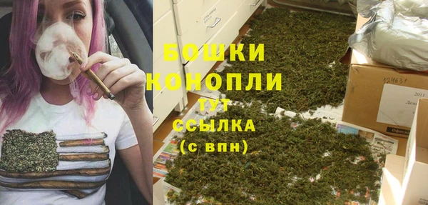 бошки Алексин