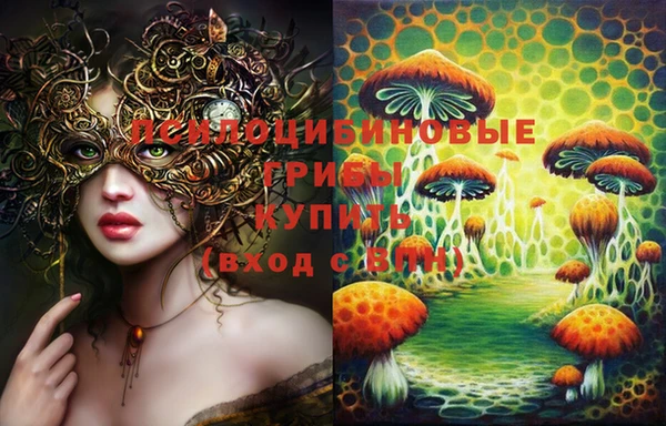 бошки Алексин