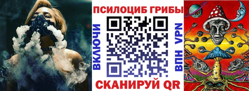 hydra зеркало  Венёв  Псилоцибиновые грибы Cubensis  цены  